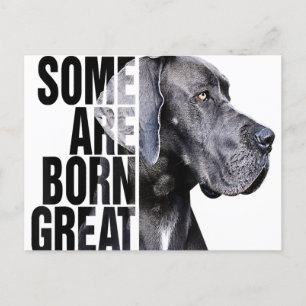 Vissa Föds Som Great Dane Älskare Present Hundälsk Meddelande Vykort