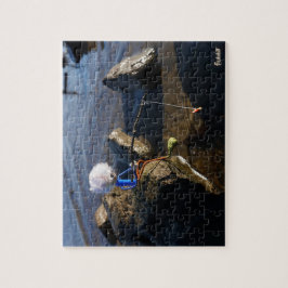 Vissende Fubby op een steen. Pussel