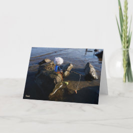 Vissende Fubby op een steen. Tack Kort