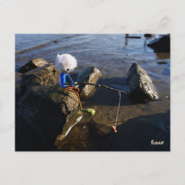 Vissende Fubby op een steen. Vykort