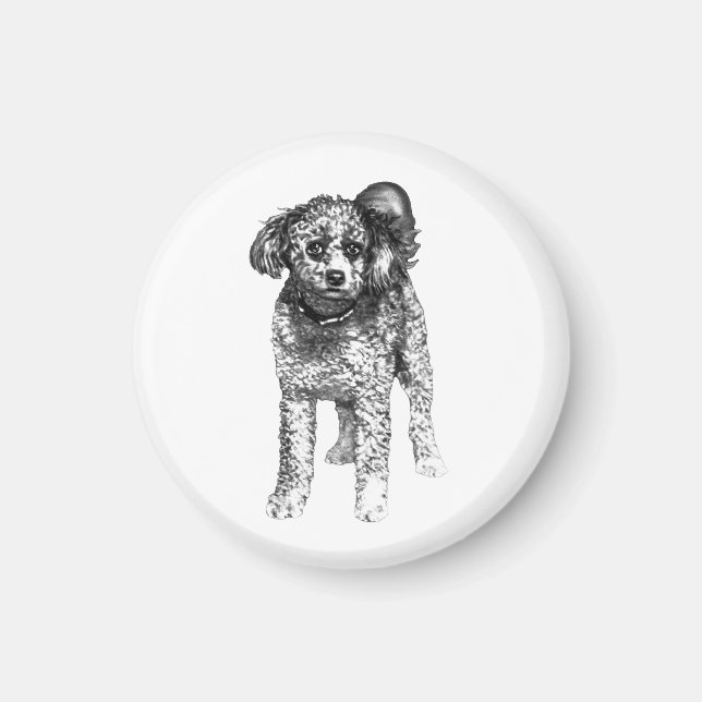 Vissrad Vinteraccent Magnet (Framsidan)