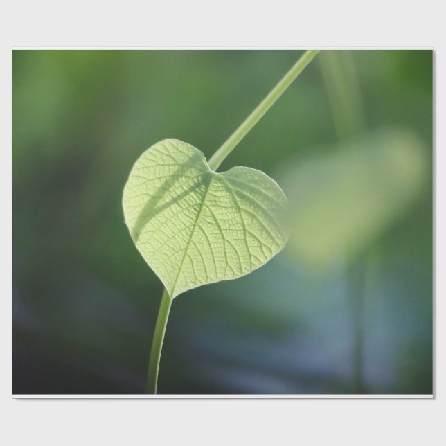"Vistare för naturen - Grönten Löv" Presentpapper (Platt)