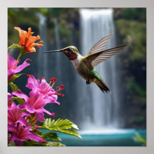 "Vistare för naturen: Hummingbird, Waterfall Poster