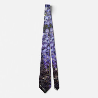 Visteria blommar på våren slips
