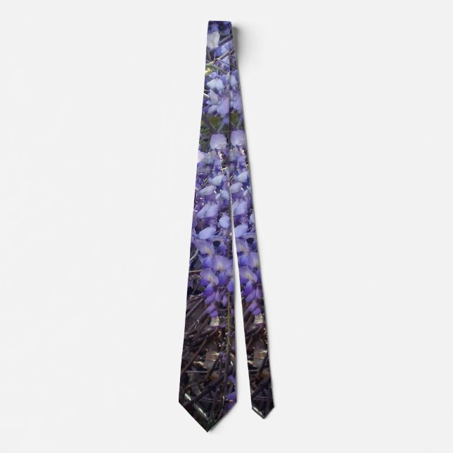Visteria blommar på våren slips (Framsida)
