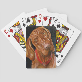 Viszla hund som leker kort casinokort