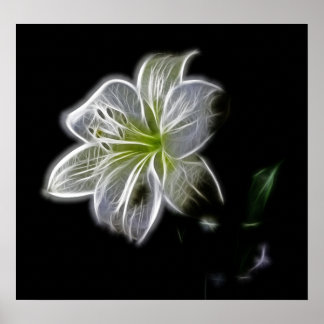 vit-82698 vit blomsterskönhet, skönhet, digita poster