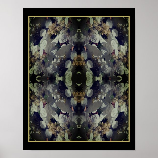 Vit Abstrakt av lakecap Hydrangea Blommigt Poster (Framsidan)
