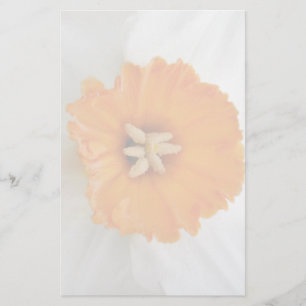 Vit affodil Stationery Brevpapper