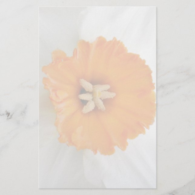 Vit affodil Stationery Brevpapper (Framsida)