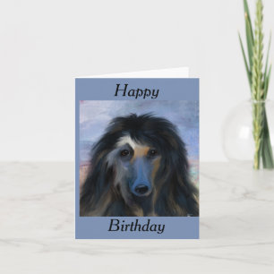 Vit Afghansk Hund Kort