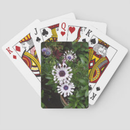 Vit afrikansk margarita spel kort