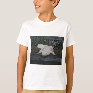 vit alligator t-shirt