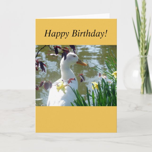 Vit Anka i Gult - Daffodils Card Kort (Framsida)