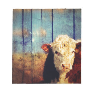 vit ansikte ko anteckningsblock