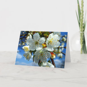 Vit äppelblomning helgkort