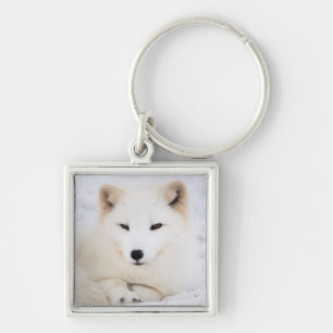 Vit arktisk polar räv i snö fyrkantig silverfärgad nyckelring