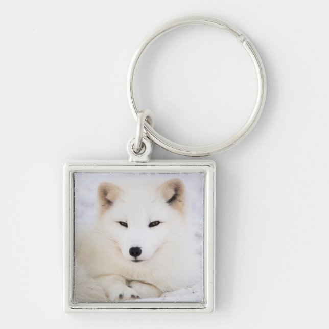 Vit arktisk polar räv i snö fyrkantig silverfärgad nyckelring (Framsidan)