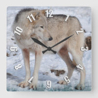 Vit arktisk Varg och Snö Wildlife Art Clock