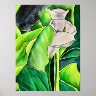 Vit Arum Lily vattenfärgstropiska blommigtar Poster