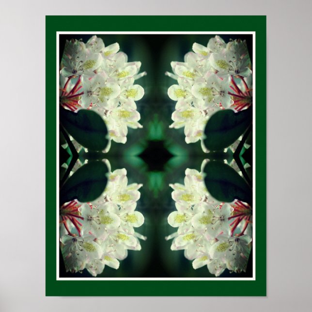 Vit Azalea blomning med Raindros Abstrakt Poster (Framsidan)