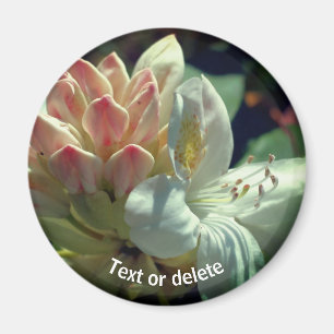 Vit Azalea Flower Personlig Magnet