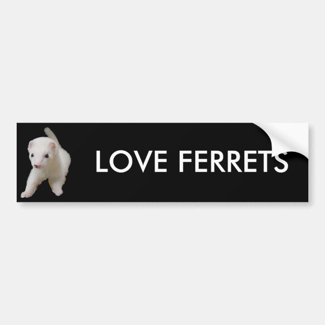 Vit Baby Ferret Bumper Sticker Bildekal (Framsidan)