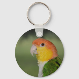 Vit Bålmodig kaik Parrot utomhus Nyckelring