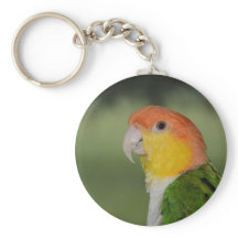 Vit Bålmodig kaik Parrot utomhus