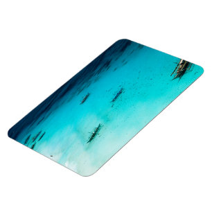 Vit Beach Magnet