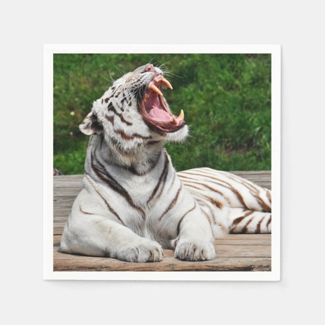 Vit Bengal Tiger Pappersservett (Framsidan)