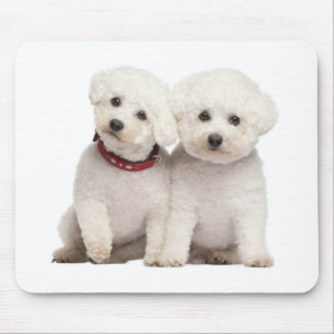 Vit Bichon Frise Puppy Hund Computer Mousepad Musmatta
