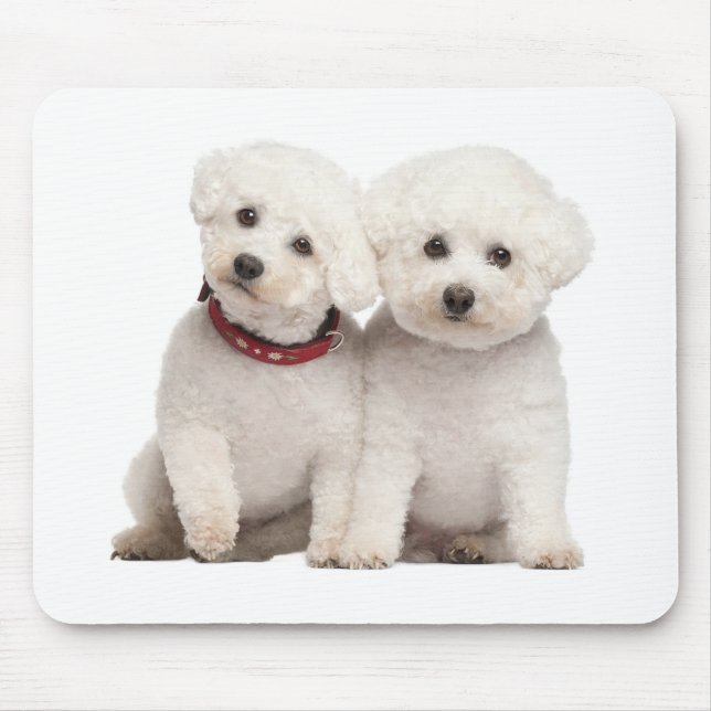 Vit Bichon Frise Puppy Hund Computer Mousepad Musmatta (Framsidan)