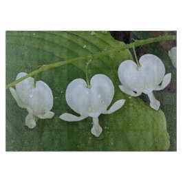 Vit blödning Hjärtat Blommigt