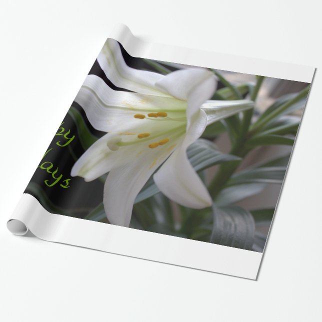 vit blomkål God jul helgdag Presentpapper (Utrullad)