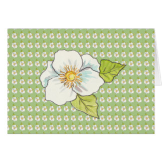 Vit blomma, Blank inuti Hälsningskort