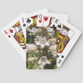 Vit blomma casinokort