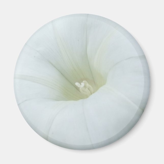 Vit blomma Center Magnet (Framsidan)
