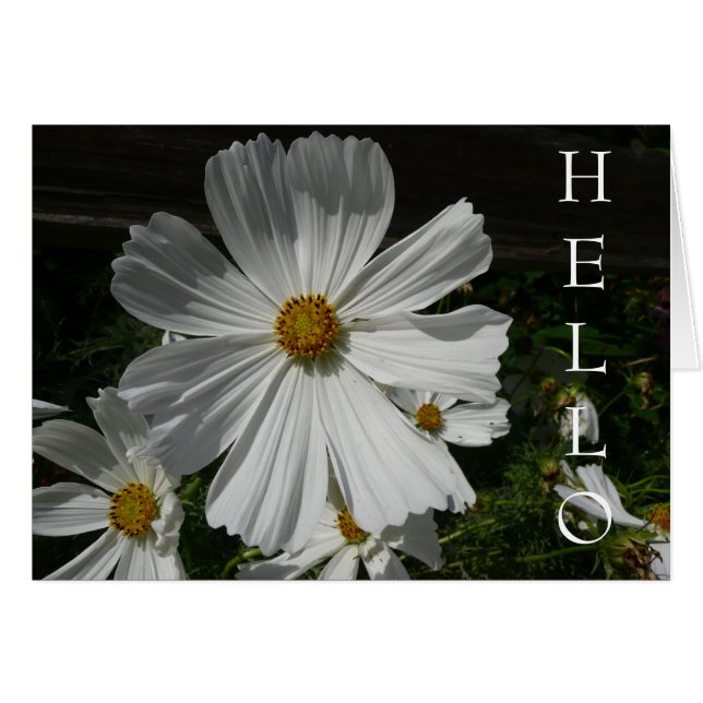 vit blomma hälsningskort (Framsidan Horizontal)