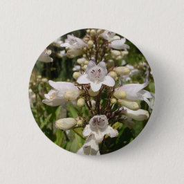 Vit blomma knapp