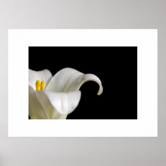 Vit blomma Poster
