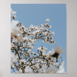 vit blomma poster