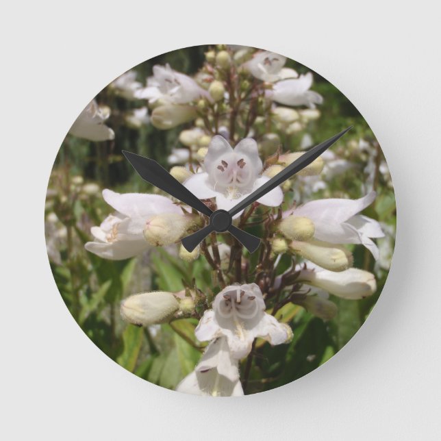 Vit blomma rund klocka (Framsida)
