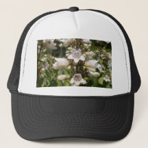 Vit blomma