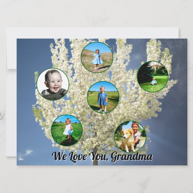 Vit blommande trädet sex bilder älskar dig mormor  kort (Framsida)