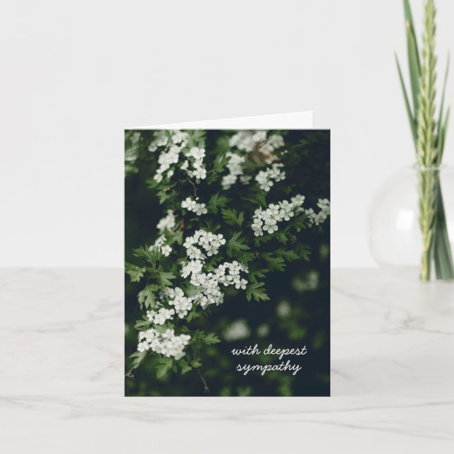 Vit blommande trädgren, Sympati Kort (Framsida)