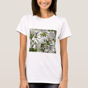 Vit Blommar blommar körsbär träd Tee