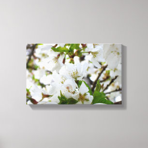 Vit Blommar Canvastryck