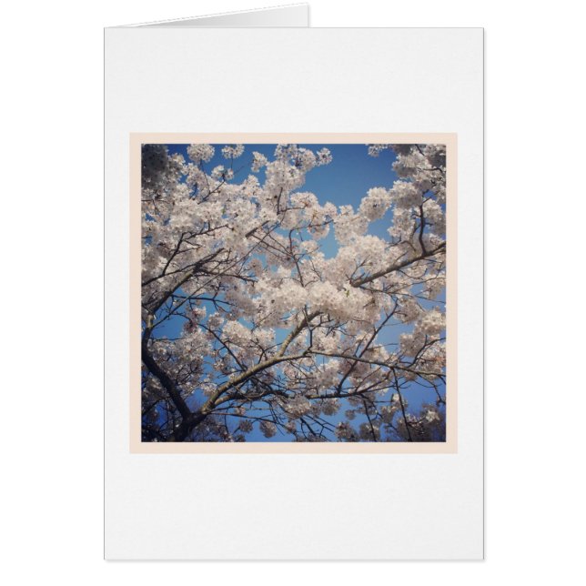 Vit Blommar Hälsningskort (Framsidan)