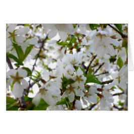 Vit Blommar Hälsningskort